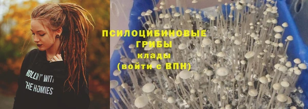 хмурый Карпинск