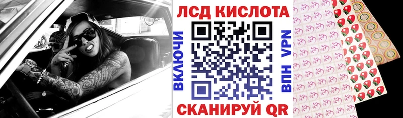 мега ссылка как найти закладки Кировград Наркотические марки 1500мкг