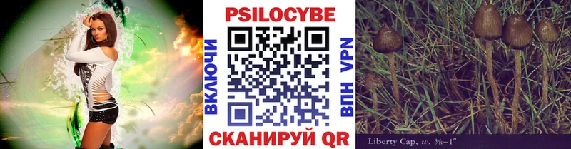 маркетплейс официальный сайт  где найти наркотики  Кировград  Псилоцибиновые грибы мицелий 